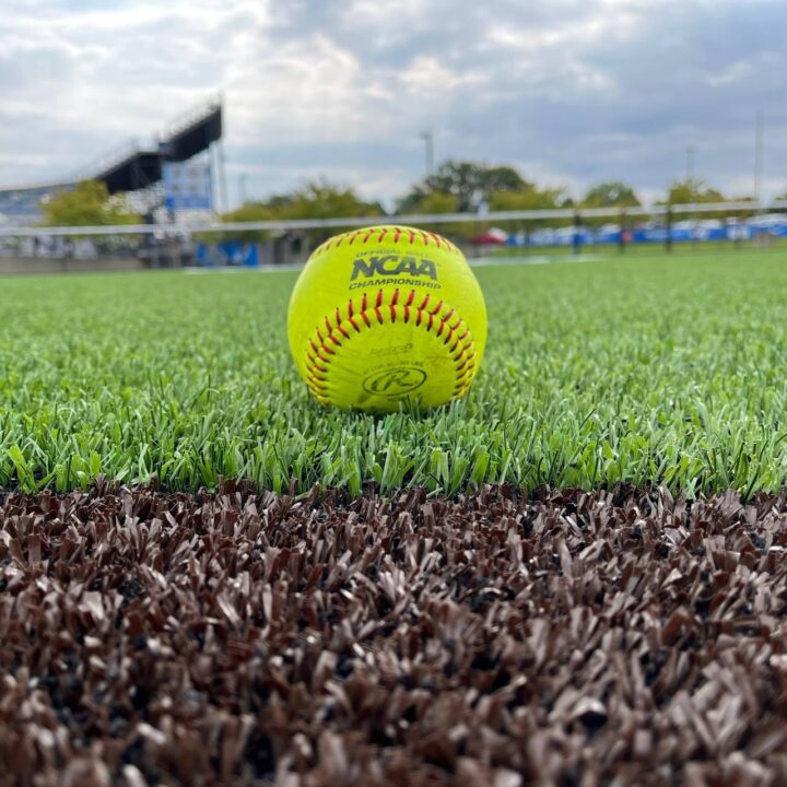 Project Profile Third Image 12801280 (1)